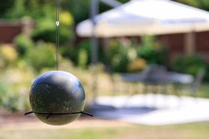 Photo 2- click for photo gallery